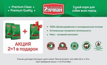 IMG-20191002-WA0008